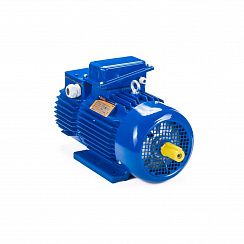 Электродвигатель 5МТН 280 L10 75/600 IM1003