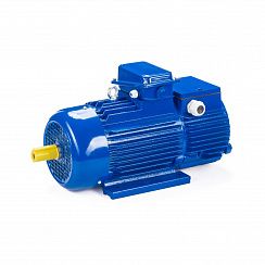 Электродвигатель 5МТН 111-6 3,5/1000 IM1001