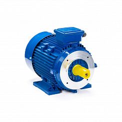 Электродвигатель ESQ 100 LB2-SDN- 4/3000 IMB34