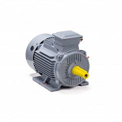 Эл.двигатель ESQ PR 100 L2 GST-Б1-S12-IE2 5.5/3000 IM 1081