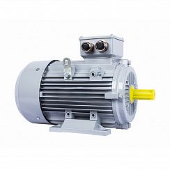 Электродвигатель ESQ PR 112 M4-SDN-Б1-S12-IE2 4/1500 IMB3