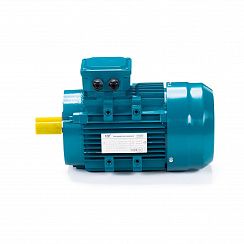 Электродвигатель ESQ 80 A2-SDN- 0,75/3000 IMB14