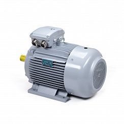 Эл.двигатель ESQ PR 250 M4-SDN-Б1-S12-IE3 55/1500 IM B3