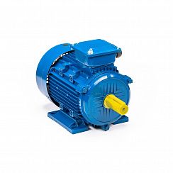 Эл.двигатель 5АИ 112 М4 5.5/1500 IM 1081