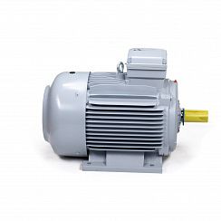 Эл.двигатель ESQ PR 250 M4-SDN-Б1-S12-IE3 55/1500 IM B3