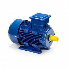 Электродвигатель 5АИ 90 L6 1,5/1000 IM1081