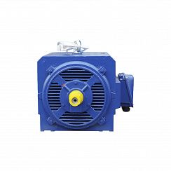 Эл.двигатель 5АИН 280 МС2 250/3000  IM 1001