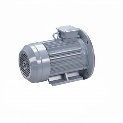Электродвигатель ESQ PR 100 L6 GST-Б1-S12-IE2 2,2/1000 IM2081