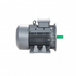 Электродвигатель ESQ TR 112 MA2-SDN-IE2 4/3000 IMB35