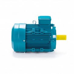 Электродвигатель ESQ 132 SA2-SDN-DS 5,5/3000 IMB14