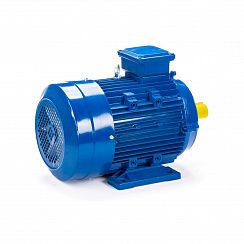 Электродвигатель ESQ 112 MA2-SDN- 4/3000 IMB34