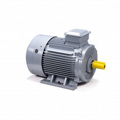 Электродвигатель ESQ PR 180 M6 GST-Б1-S12-IE2 18,5/1000 IM1001