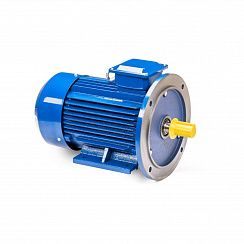 Эл.двигатель 5АИ 100 L4 4/1500 IM 2081