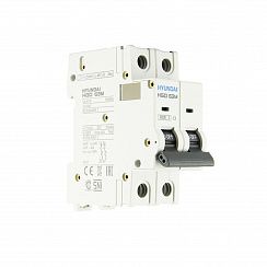 Автоматический выключатель HGD63-M 2PMCS0000C C 2P 3А 6kA (STANDARD)