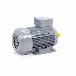 Электродвигатель ESQ PR 80 A4-SDN-Б1-S12-IE2 0,55/1500 IMB34