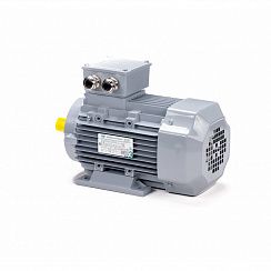 Эл.двигатель ESQ PR 90 S4-SDN-Б1-S12-IE2 1.1/1500 IM B34