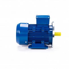 Электродвигатель ESQ 90 LB2-SDN-ЕТ2 3/3000 IMB35