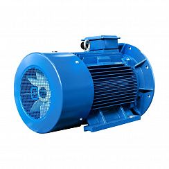 Эл.двигатель 5АИ 355 S4 250/1500 IM 2001