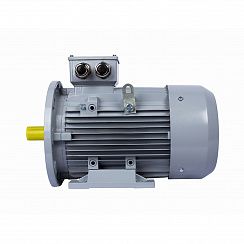 Электродвигатель ESQ PR 100 LB4-SDN-Б1-S12-IE2 3/1500 IMB35