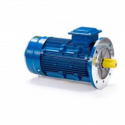Электродвигатель ESQ 71 A4-SDN- 0,25/1500 IMB5