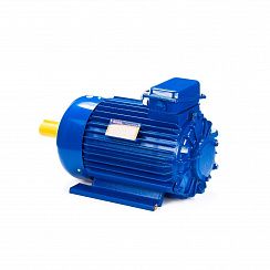Электродвигатель 5MTKH 132 LB6