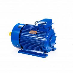 Электродвигатель 5МТКН 225 L8 37/750 IM1003