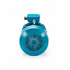 Электродвигатель ESQ 132 SA2-SDN-DS 5,5/3000 IMB14