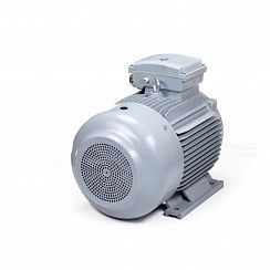 Электродвигатель ESQ PR 180 L4-SDN-Б1-S12-IE2 22/1500 IMB3