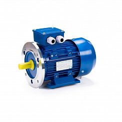 Электродвигатель ESQ 71 С2-SDN- 0,75/3000 IMB35