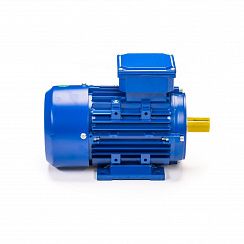 Эл.двигатель 5АИ 63 В2 FT100 0.55/3000 IM 2181