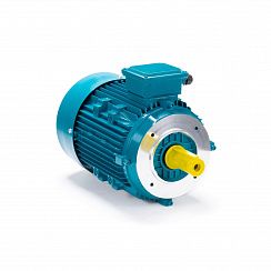 Электродвигатель ESQ 112 MA2-SDN-DS 4/3000 IMB14