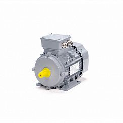 Электродвигатель ESQ PR 80 A6-SDN-Б1-S12-IE3 0,37/1000 IMB3