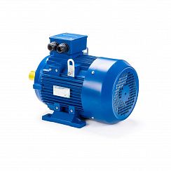 Эл.двигатель ESQ 100 LB2-SDN- 4/3000 IM B3