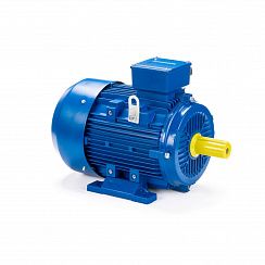 Электродвигатель ESQ 112 N4-SDN- 5,5/1500 IMB3