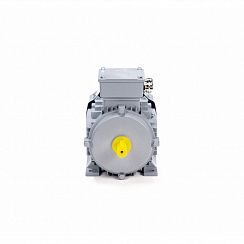 Электродвигатель ESQ PR 80 B4-SDN-Б1-S12-IE2 0,75/1500 IMB3