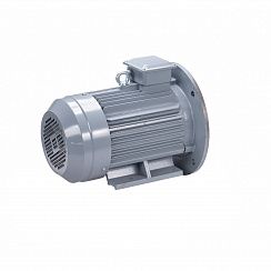 Электродвигатель ESQ PR 200 L6 GST-Б1-S12-IE2 30/1000 IM2001