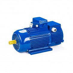 Электродвигатель 5МТН 280 L6 110/1000 IM1004