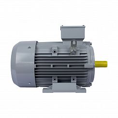 Электродвигатель ESQ PR 160 L2-SDN-Б1-S12-IE3 18,5/3000 IMB3