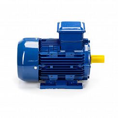 Электродвигатель 5АИ 90 L6 1,5/1000 IM1081