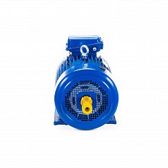 Электродвигатель 5МТКН 312-8 11/750 IM1001