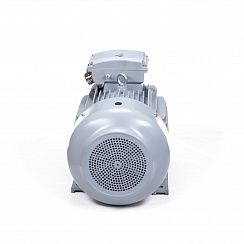 Эл.двигатель ESQ PR 250 M4-SDN-Б1-S12-IE2 55/1500 IM B3