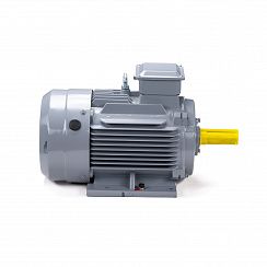 Электродвигатель ESQ PR 112 MВ6 GST-Б1-S12-IE2 4/1000 IM1081