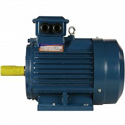 Электродвигатель 5АИ 100 L2 ET 5,5/3000 IM1081