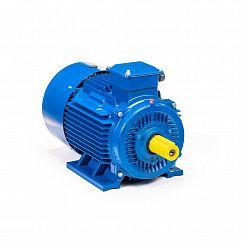 Электродвигатель 5АИ 225 М4 55/1500 IM1001