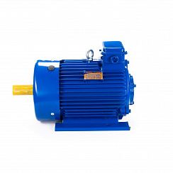 Электродвигатель 5МТКН 411-8 15/750 IM1003