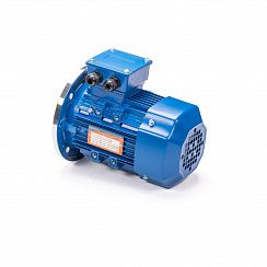 Эл.двигатель 5АИ 90 L2 3/3000 IM 3081
