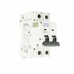 Автоматический выключатель HGD63-M 2PMCS0000C C 2P 1А 6kA (STANDARD)