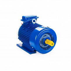 Электродвигатель 5МТКН 225 L8 37/750 IM1003