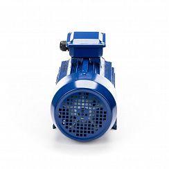 Эл.двигатель 5АИ 90 L2 3/3000 IM 1081