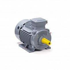Эл.двигатель ESQ PR 100 S2 GST-Б1-S12-IE2 4/3000 IM 1081